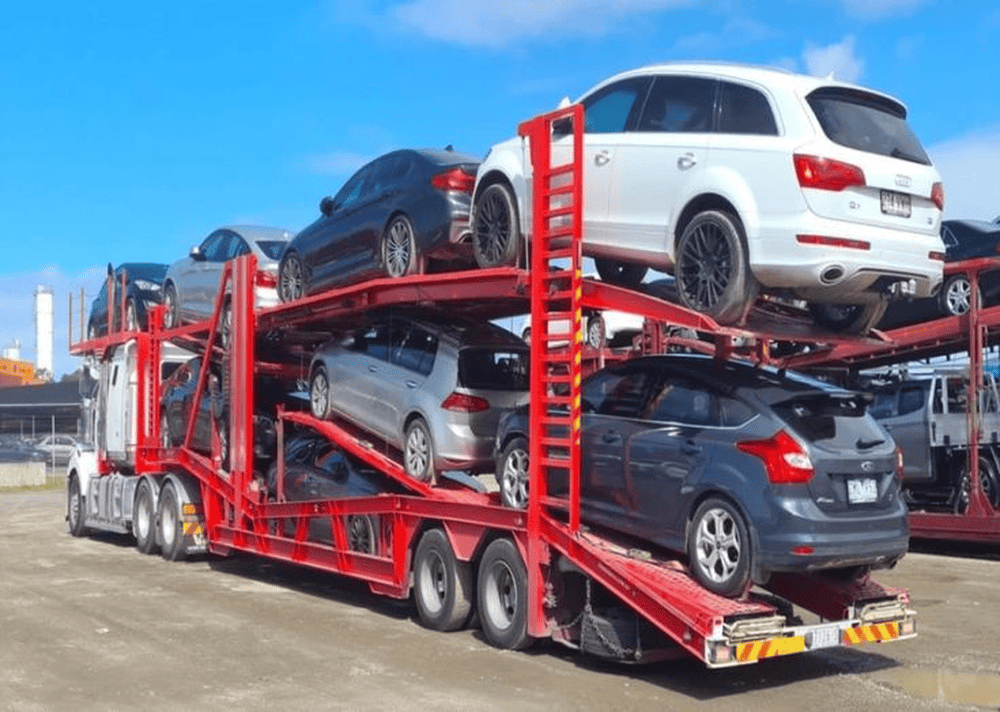 Professional Vehicle Assessment